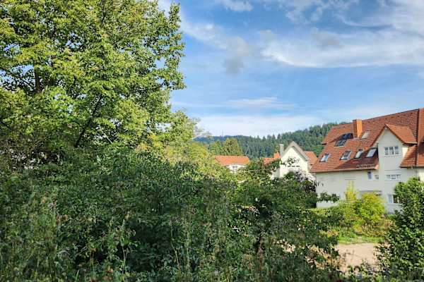 House sit in Freiburg, Germany