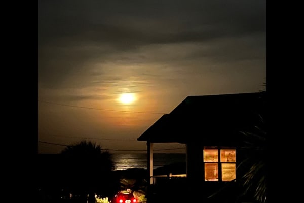 House sit in Saint Augustine Beach, FL, US