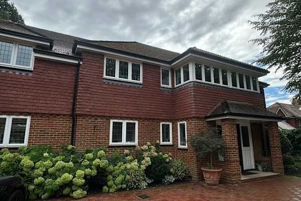 House sit in Woking, United Kingdom