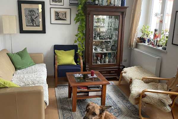 House sit in Dresden, Germany