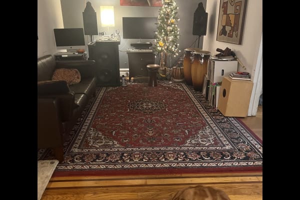 House sit in Brooklyn, NY, US