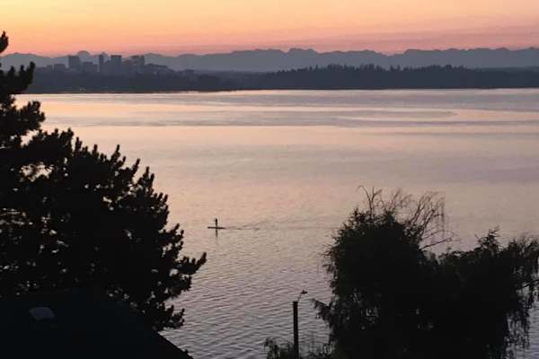 House sit in Seattle, WA, US