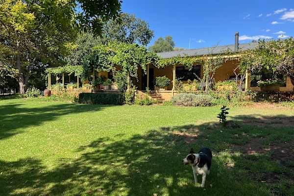 House sit in Canowindra, NSW, Australia