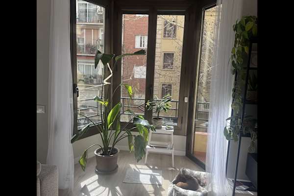 House sit in Barcelona, Spain