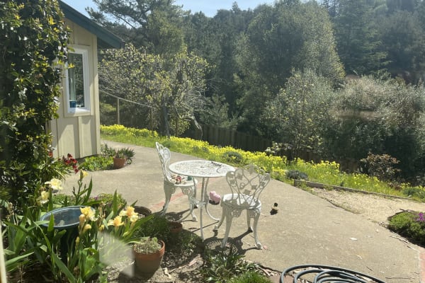 House sit in Soquel, CA, US