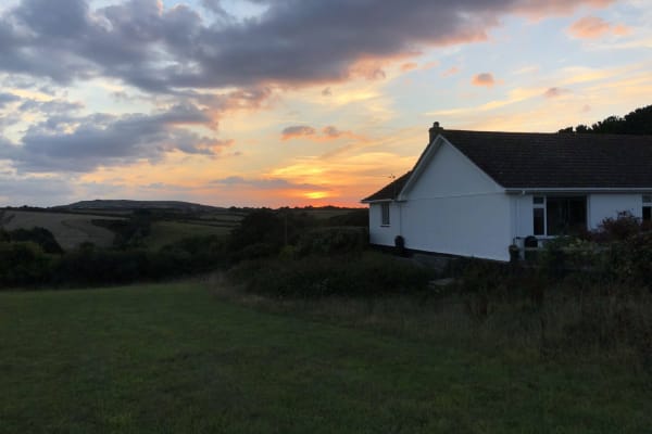 House sit in Saint Agnes, United Kingdom