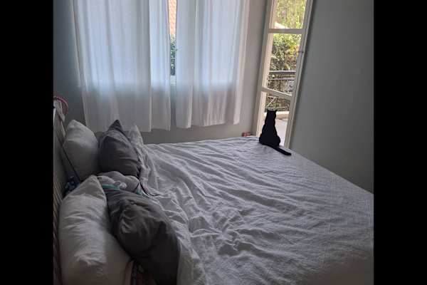House sit in Jakarta, Indonesia
