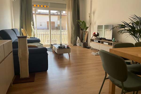 House sit in Barcelona, Spain
