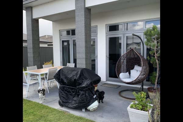 House sit in Napier, New Zealand