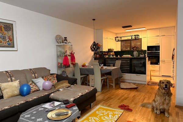 House sit in Vienna, Austria