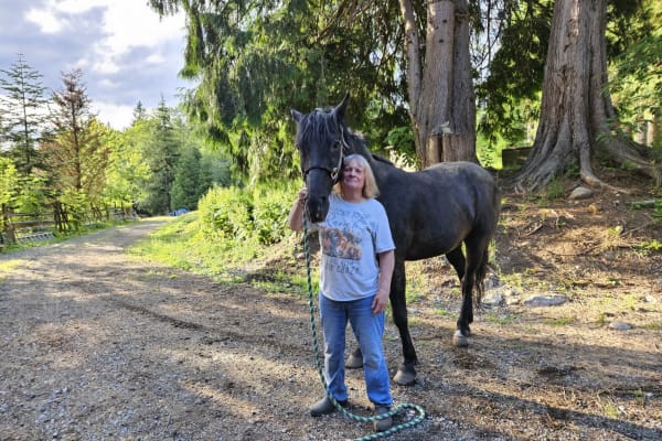 House sit in Snohomish, WA, US