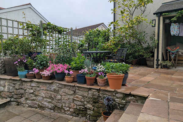 House sit in Ipplepen, United Kingdom