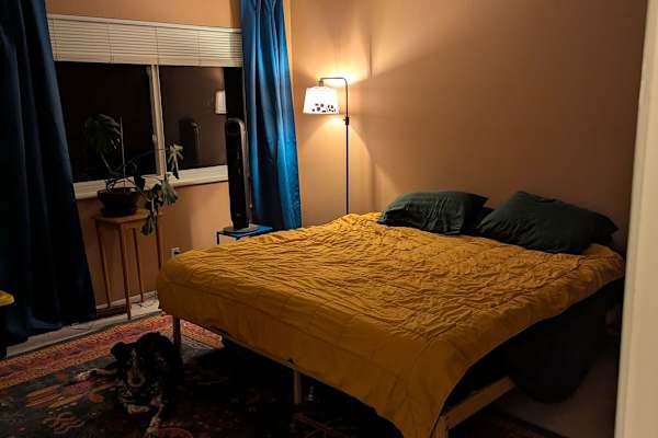 House sit in Westminster, CO, US