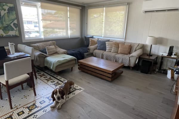 House sit in Kapahulu, HI, US