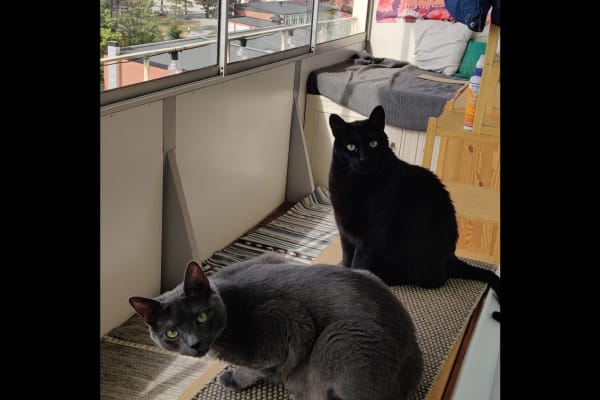 House sit in Mörby, Sweden