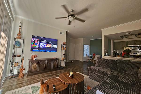 House sit in Scottsdale, AZ, US