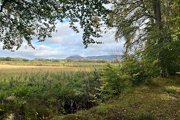 House sit in Kinross, United Kingdom