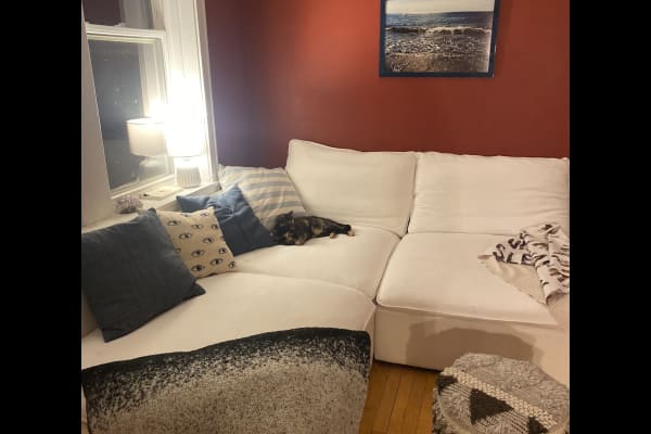 House sit in Chicago, IL, US