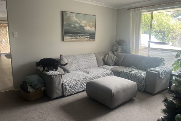House sit in Colo Vale, NSW, Australia