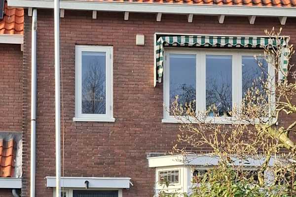 House sit in Haarlem, Netherlands