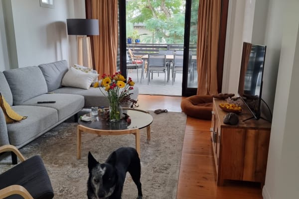 House sit in Brisbane, QLD, Australia