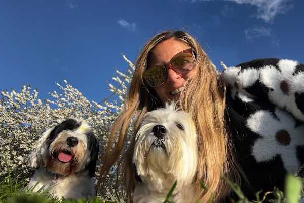 House sit in London, United Kingdom