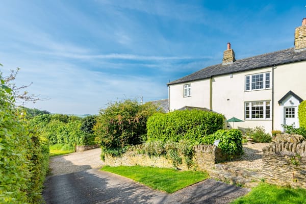 House sit in Kingsbridge, United Kingdom