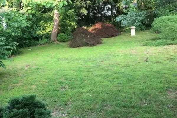 House sit in Philadelphia, PA, US