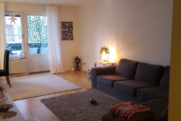 House sit in Stockholm, Sweden