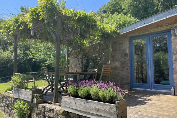House sit in Tintern, United Kingdom