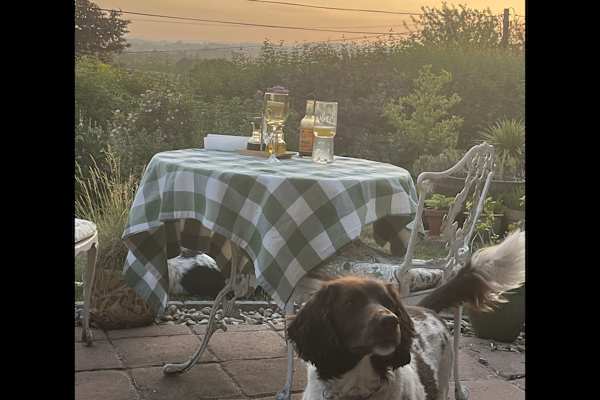 House sit in Cleobury Mortimer, United Kingdom