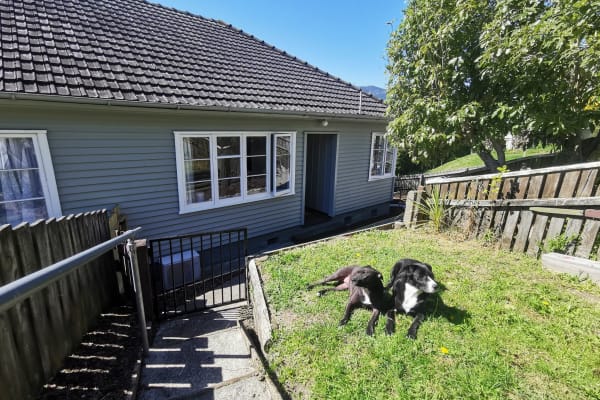 House sit in Nelson, New Zealand