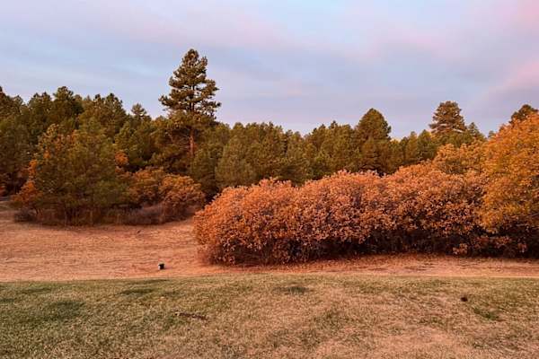 House sit in Franktown, CO, US