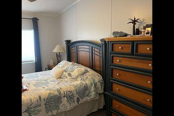 House sit in Clearwater, FL, US