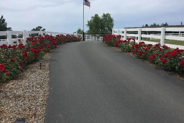 House sit in Santa Rosa, CA, US