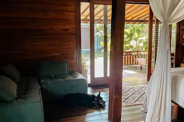 House sit in Denpasar, Indonesia