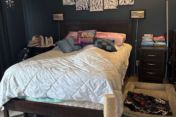 House sit in Calgary, AB, Canada