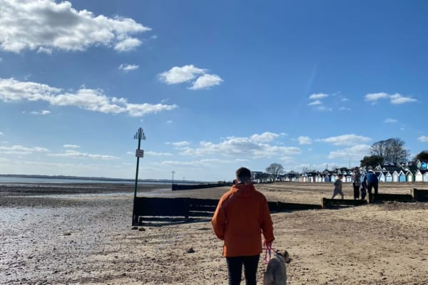 House sit in Harwich, United Kingdom