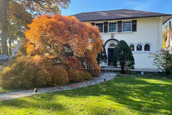 House sit in Mount Vernon, NY, US