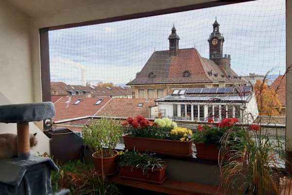 House sit in Basel, Switzerland