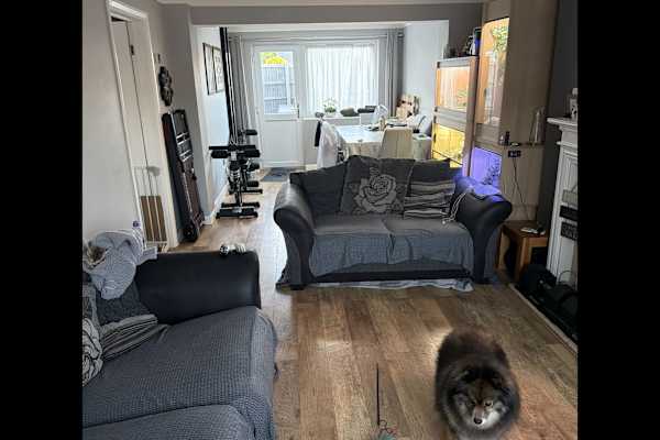 House sit in Brentwood, United Kingdom