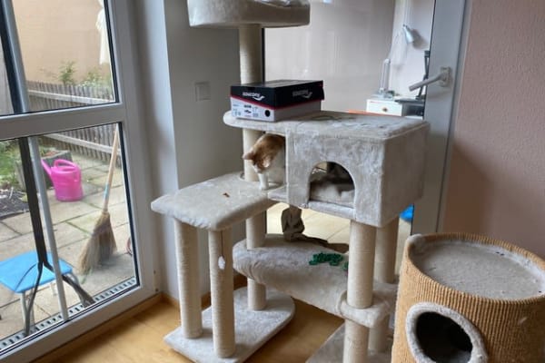 House sit in Ebersberg, Germany