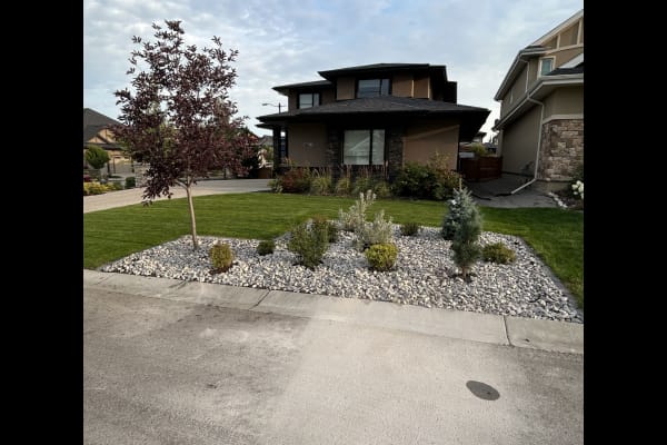 House sit in Edmonton, AB, Canada