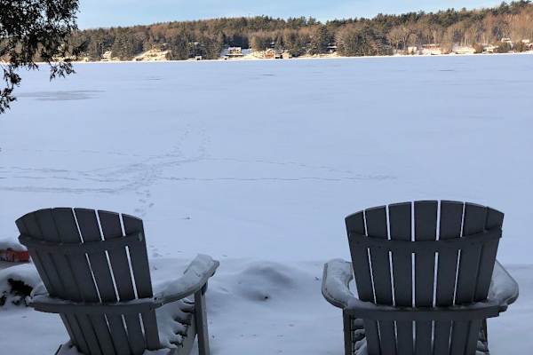 House sit in Middlebury (village), VT, US