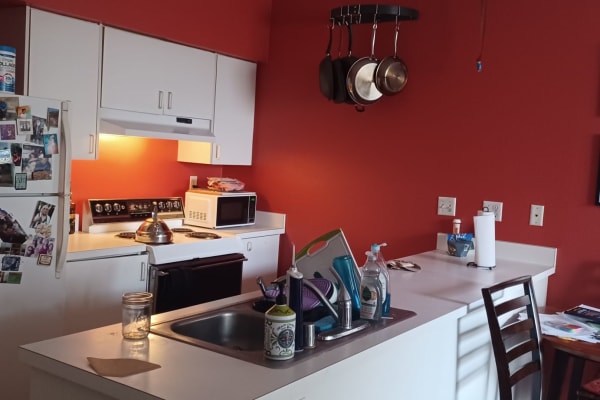 House sit in Palo Alto, CA, US