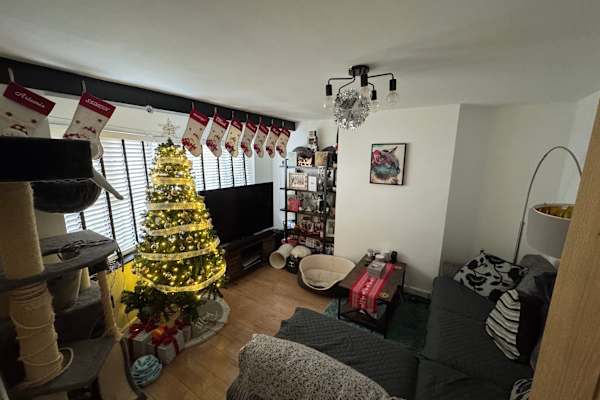 House sit in Lewes, United Kingdom