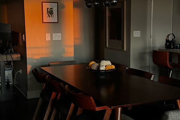 House sit in Chicago, IL, US