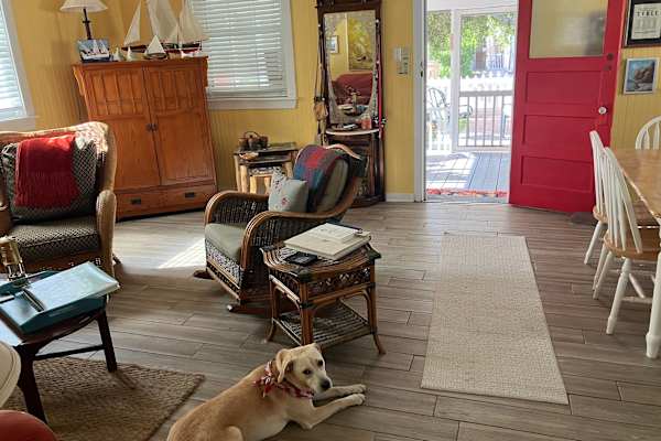 House sit in Savannah, GA, US