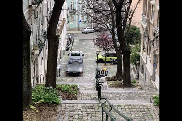 House sit in Lisbon, Portugal