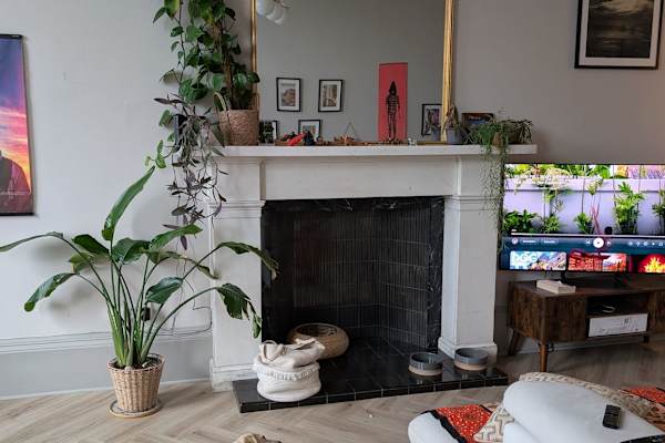 House sit in Edinburgh, United Kingdom